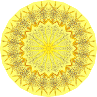 Rotatoria 4