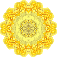 Rotatoria 6