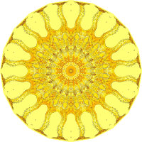 Rotatoria 12