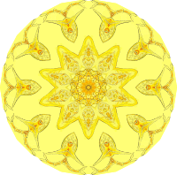 Rotatoria 11