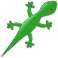Lizard