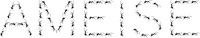 Ameise - German word for ant