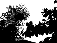 Vegetation Silhouette