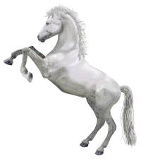 White Horse