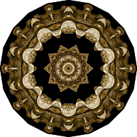 Acephala 1