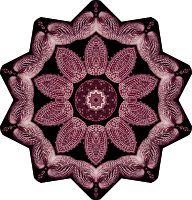 Acephala 2