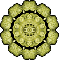 Acephala 3