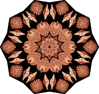 Acephala 4