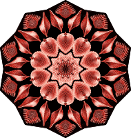 Acephala 5