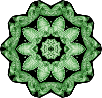Acephala 7