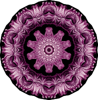 Acephala 8