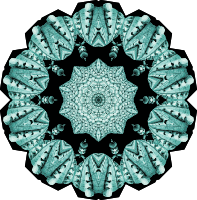 Acephala 10