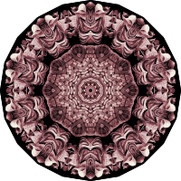 Acephala 15