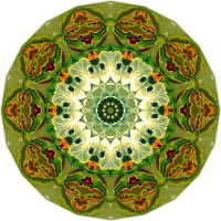 Orchidae 22