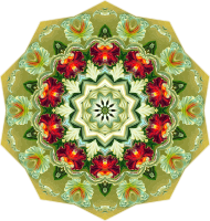 Orchidae 23