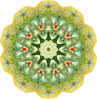 Orchidae 24