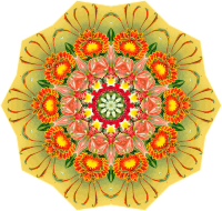 Orchidae 26