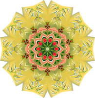 Orchidae 28