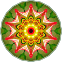 Orchidae 32