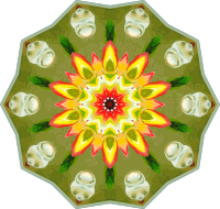 Orchidae 31