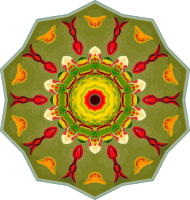Orchidae 33