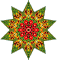 Orchidae 35