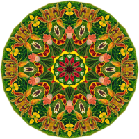 Orchidae 37