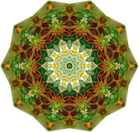 Orchidae 41