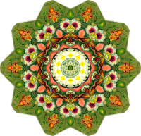 Orchidae 40