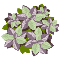 Leafage 1