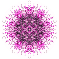 Siphonophorae 2