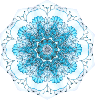 Siphonophorae 1