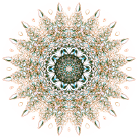 Siphonophorae 5