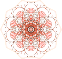 Siphonophorae 9