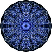 Siphonophorae 15