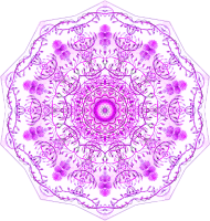 Siphonophorae 16