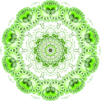 Siphonophorae 17
