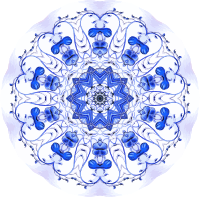 Siphonophorae 19