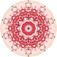 Siphonophorae 20