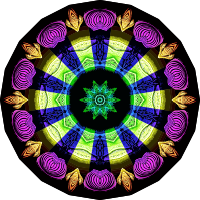 Spirobranchia 1