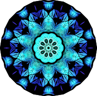 Spirobranchia 5