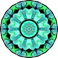 Spirobranchia 6