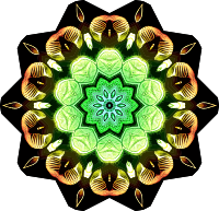 Spirobranchia 7