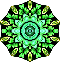 Spirobranchia 9