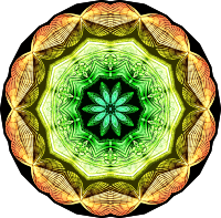 Spirobranchia 10