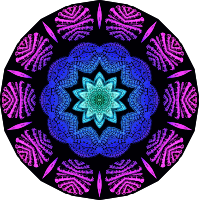 Spirobranchia 12