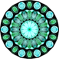 Spirobranchia 16