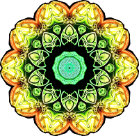 Spirobranchia 18