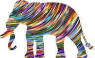 Chromatic Waves Elephant