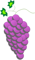 Colored Grapes line art - Purple